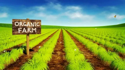 Organic Farming in India: Types, Methods, Benefits & Challenges Explained