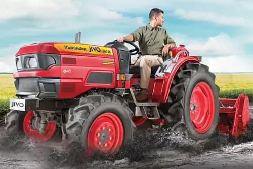 Mahindra JIVO 365 DI 4WD Puddling Special