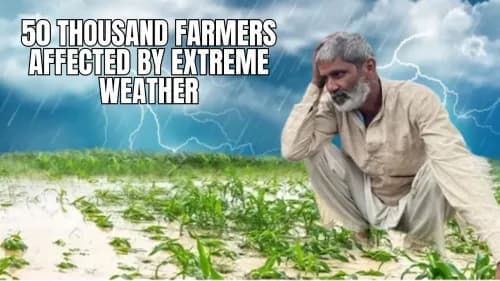 Extreme Weather Devastates Crops, Affects 50 Thousand Farmers