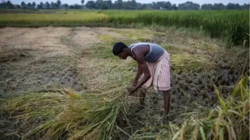 Centre to Invest ₹6,000 Crore in AI and Drones for Smart Farming