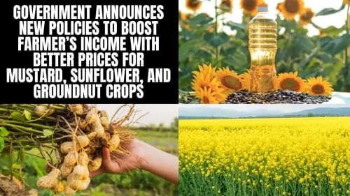 Government Announces New Policies to Boost Farmer’s Income with Better Prices for Mustard, Sunflower, and Groundnut Crops