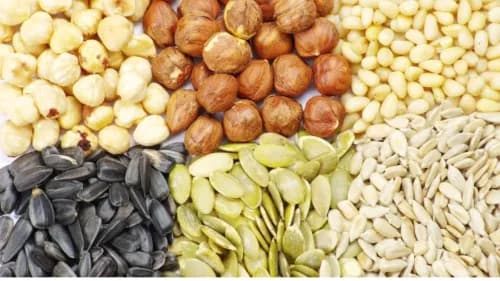 ICAR Launches 7 New High-Yielding Varieties of Soybean, Groundnut, Safflower, and Sesame