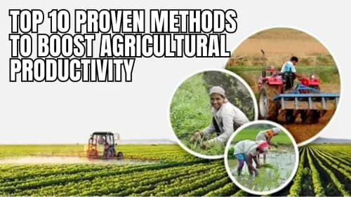 Top 10 Proven Methods to Boost Agricultural Productivity