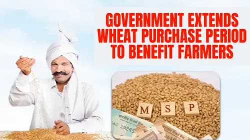 Government Extends Wheat Purchase Period to Benefit Farmers