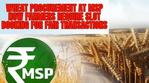 Wheat Procurement at MSP now Farmers Require Slot Booking for Fair Transactions